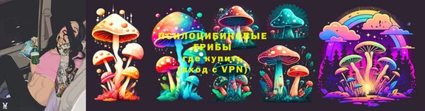 ГАЛЛЮЦИНОГЕННЫЕ ГРИБЫ Белокуриха