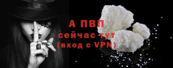 ГАЛЛЮЦИНОГЕННЫЕ ГРИБЫ Белокуриха