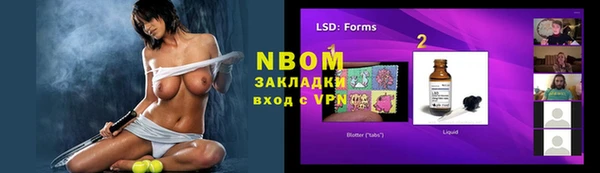 ГАЛЛЮЦИНОГЕННЫЕ ГРИБЫ Белокуриха