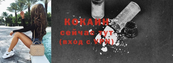 ГАЛЛЮЦИНОГЕННЫЕ ГРИБЫ Белокуриха