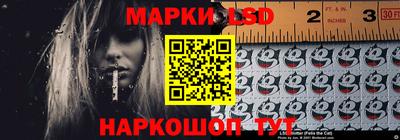 амф Камышлов