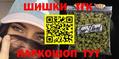 амф Камышлов