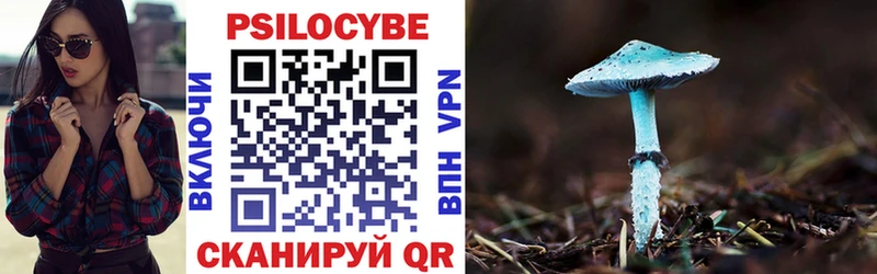 MEGA ССЫЛКА  Кузнецк  Псилоцибиновые грибы GOLDEN TEACHER  купить  