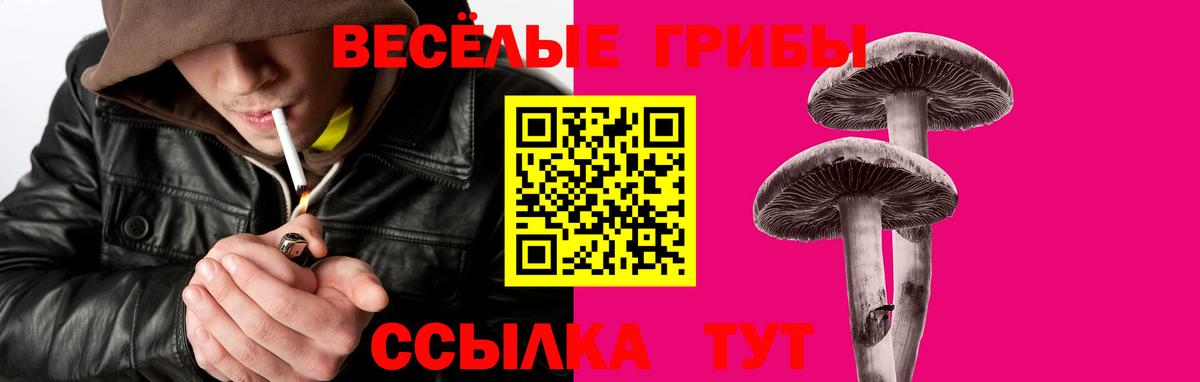 Псилоцибиновые грибы ЛСД  Вход с VPN  Псилоцибиновые грибы прущие грибы  Кузнецк 